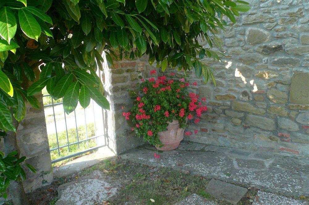 Il Gelso Appartement Cortona Buitenkant foto
