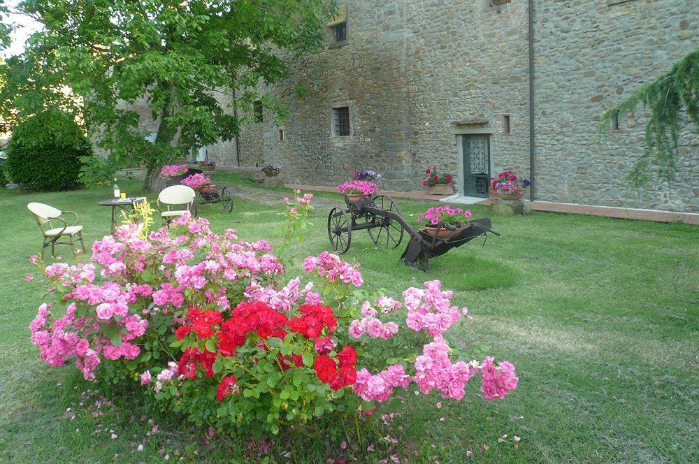 Il Gelso Appartement Cortona Buitenkant foto